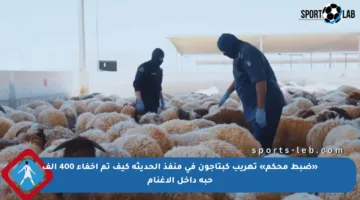 «ضبط محكم» تهريب كبتاجون في منفذ الحديثة كيف تم إخفاء 400 ألف حبة داخل الأغنام